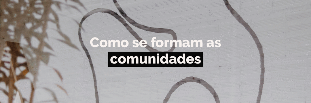 Como se formam as comunidades